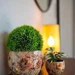 Appartement Spain - Solina & Nerisa *