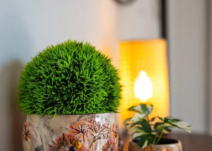 Appartement Spain - Solina & Nerisa *